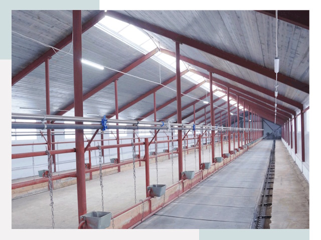 Строительство коровников в Кингисеппе от 623 руб.