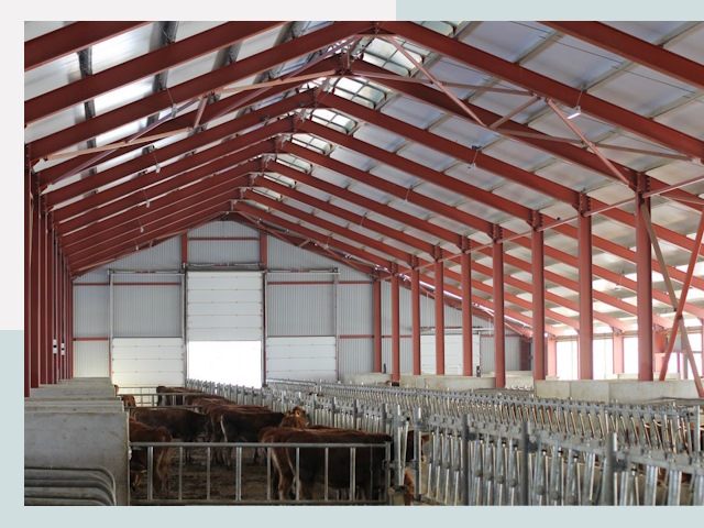 Строительство коровников в Кингисеппе