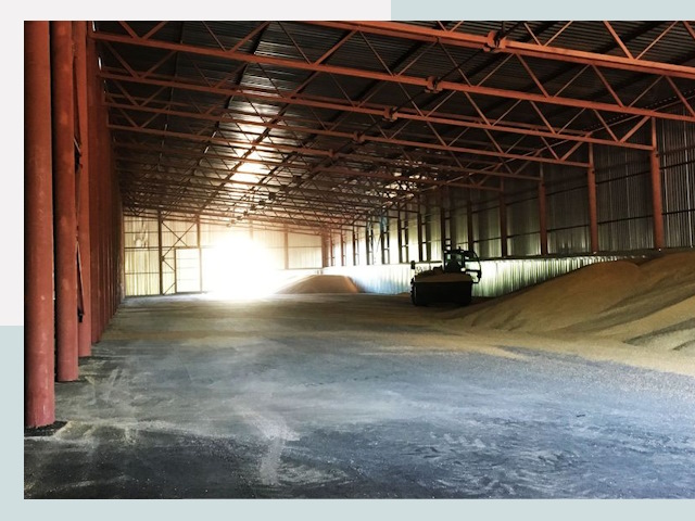 Строительство зернохранилищ в Кингисеппе