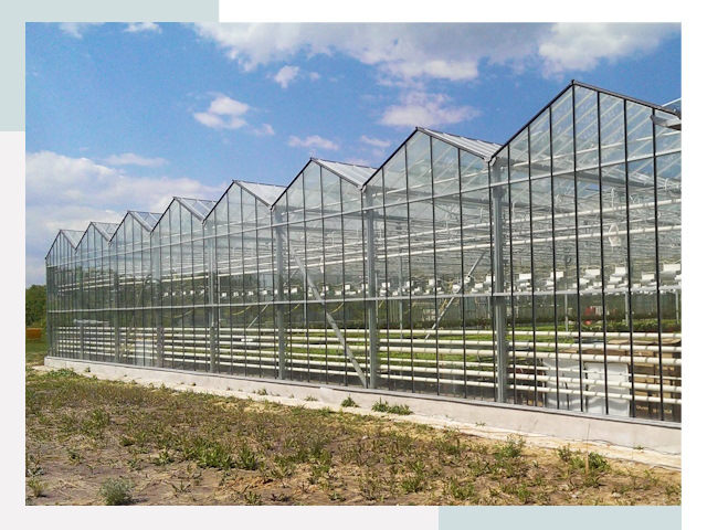 Строительство теплиц в Кингисепп от 623 руб. за м²