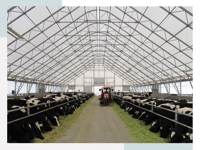 Тентовые коровники в Кингисеппе от 623 руб. - Надежно и доступно