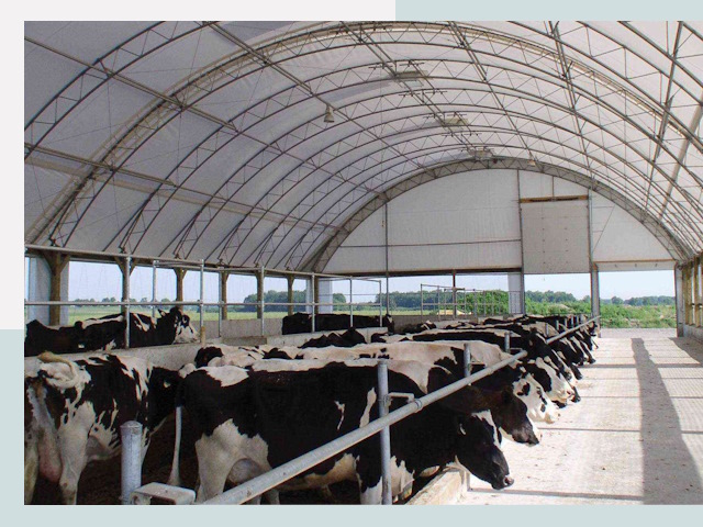 Тентовые коровники в Кингисеппе